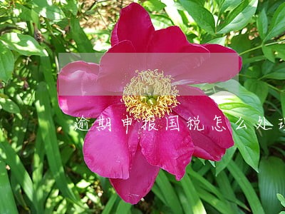 逾期申报国税怎么处理 逾期申报国税怎么处理