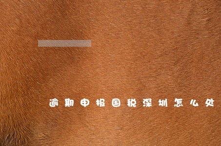 逾期申报国税深圳怎么处理