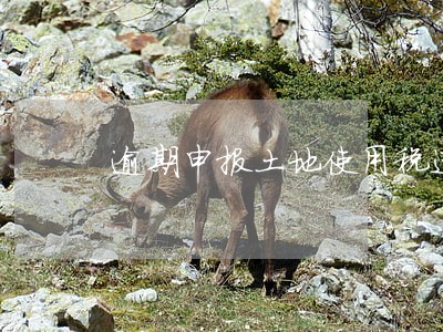 逾期申报土地使用税违法吗 逾期申报土地使用税违法吗