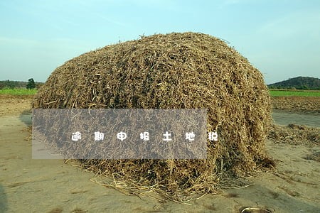 逾期申报土地税 逾期申报土地税