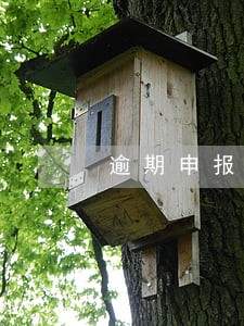 逾期申报在作废会影响 逾期申报在作废会影响