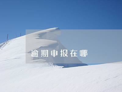 逾期申报在哪