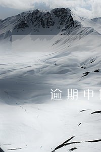 逾期申报在哪查询