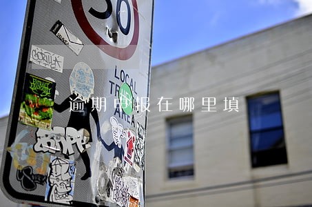 逾期申报在哪里填