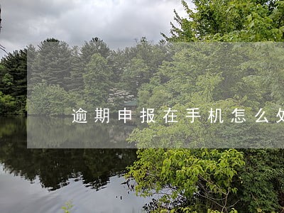 逾期申报在手机怎么处理 逾期申报在手机怎么处理