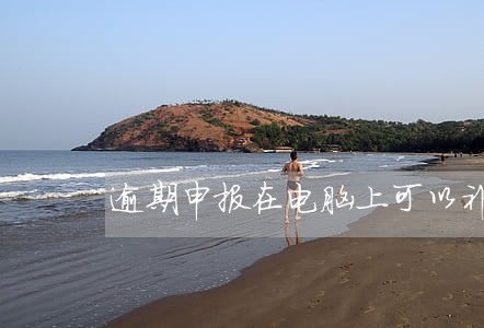 逾期申报在电脑上可以补报吗 逾期申报在电脑上可以补报吗