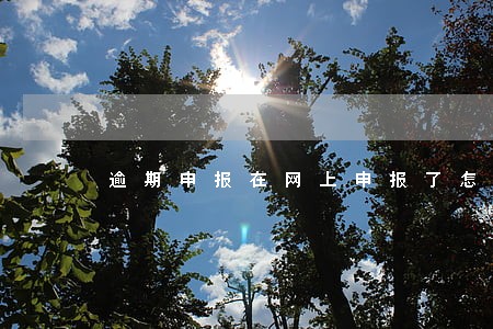 逾期申报在网上申报了怎么处理 逾期申报在网上申报了怎么处理