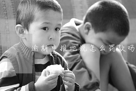 逾期申报地税怎么罚款吗 逾期申报地税怎么罚款吗