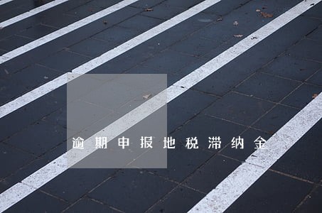 逾期申报地税滞纳金 逾期申报地税滞纳金