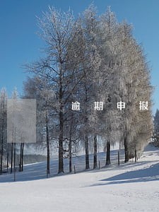 逾期申报地税滞纳金吗
