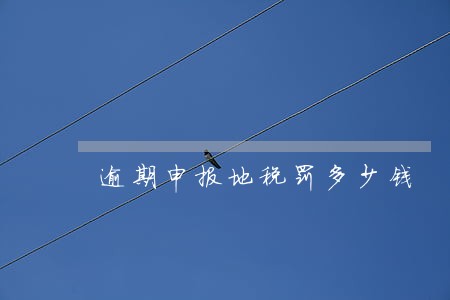 逾期申报地税罚多少钱 逾期申报地税罚多少钱