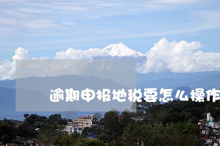 逾期申报地税要怎么操作 逾期申报地税要怎么操作