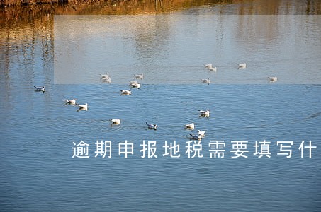 逾期申报地税需要填写什么 逾期申报地税需要填写什么