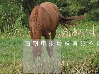 逾期申报地税首犯不罚 逾期申报地税首犯不罚