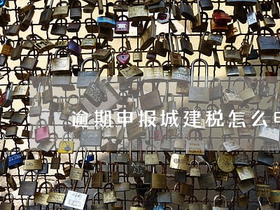 逾期申报城建税怎么申报导入