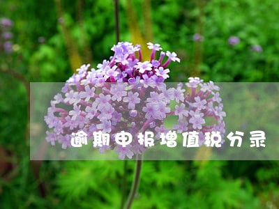 逾期申报增值税分录 逾期申报增值税分录