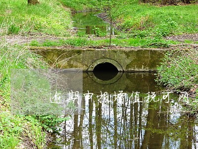 逾期申报增值税可网上申报