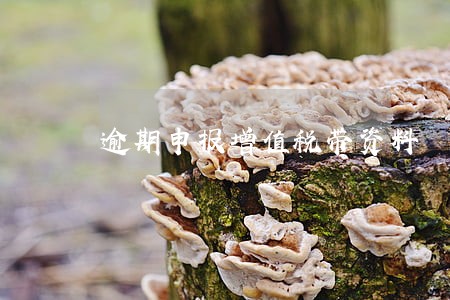 逾期申报增值税带资料 逾期申报增值税带资料