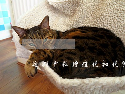 逾期申报增值税扣税凭证 逾期申报增值税扣税凭证