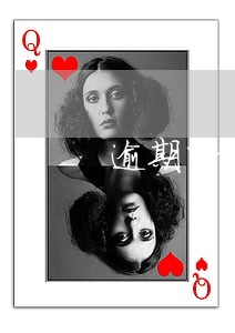 逾期申报增值税要什么资料