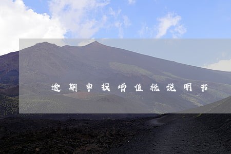 逾期申报增值税说明书 逾期申报增值税说明书