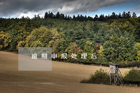 逾期申报处理后