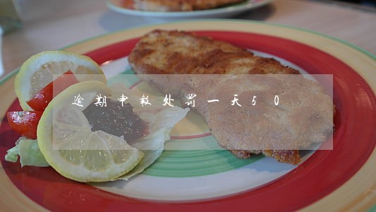 逾期申报处罚一天50 逾期申报处罚一天50