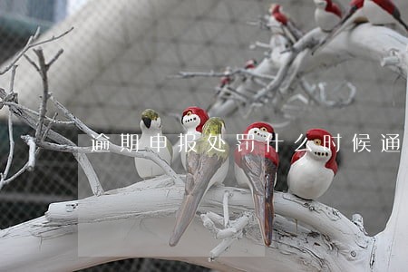 逾期申报处罚什么时候通知 逾期申报处罚什么时候通知