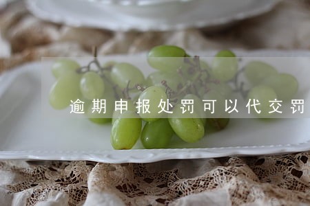逾期申报处罚可以代交罚款吗 逾期申报处罚可以代交罚款吗