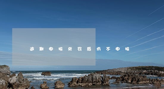 逾期申报处罚后仍不申报 逾期申报处罚后仍不申报