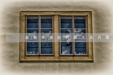 逾期申报处罚后几天内需要申报 逾期申报处罚后几天内需要申报
