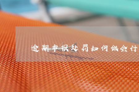 逾期申报处罚如何做会计分录 逾期申报处罚如何做会计分录