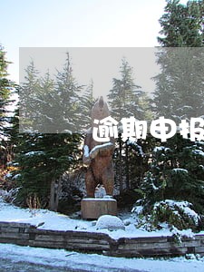 逾期申报处罚录什么科目 逾期申报处罚录什么科目