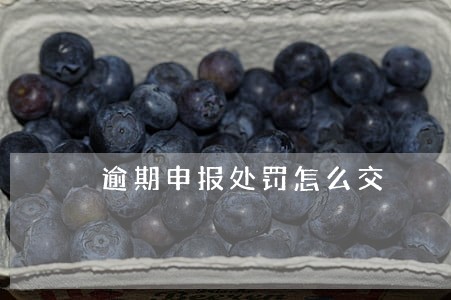 逾期申报处罚怎么交 逾期申报处罚怎么交