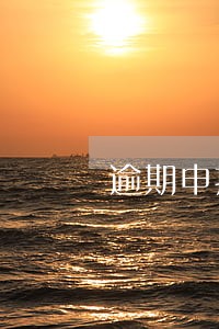 逾期申报处罚文书 逾期申报处罚文书