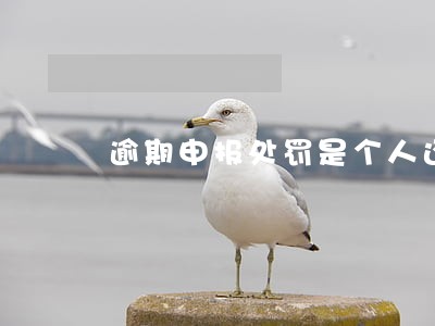 逾期申报处罚是个人还是公司