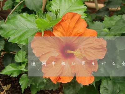 逾期申报处罚是什么意思 逾期申报处罚是什么意思