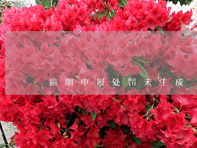 逾期申报处罚未生成 逾期申报处罚未生成