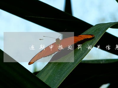 逾期申报处罚相关信息 逾期申报处罚相关信息