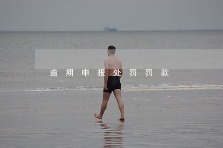 逾期申报处罚罚款 逾期申报处罚罚款
