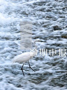逾期申报处罚计算 逾期申报处罚计算