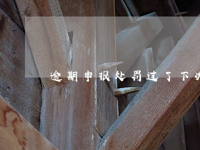 逾期申报处罚过了下次还处罚吗 逾期申报处罚过了下次还处罚吗