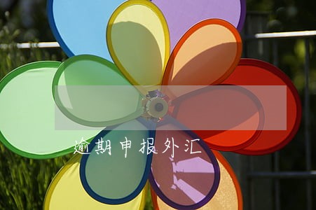 逾期申报外汇 逾期申报外汇