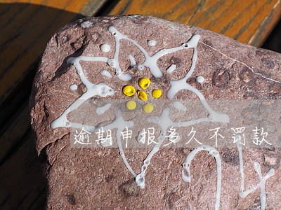 逾期申报多久不罚款 逾期申报多久不罚款