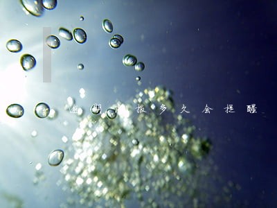 逾期申报多久会提醒 逾期申报多久会提醒
