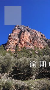 逾期申报多久内责令 逾期申报多久内责令