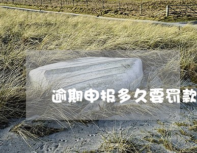 逾期申报多久要罚款 逾期申报多久要罚款