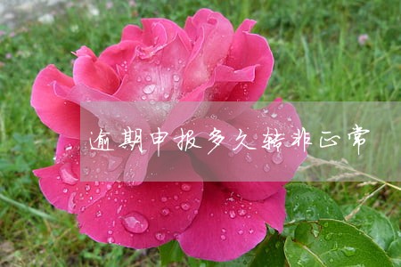 逾期申报多久转非正常