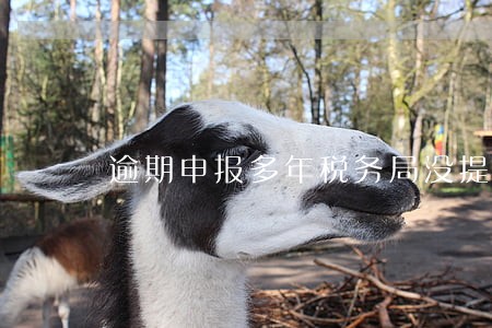 逾期申报多年税务局没提醒 逾期申报多年税务局没提醒