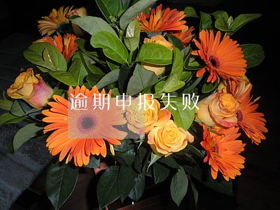 逾期申报失败 逾期申报失败